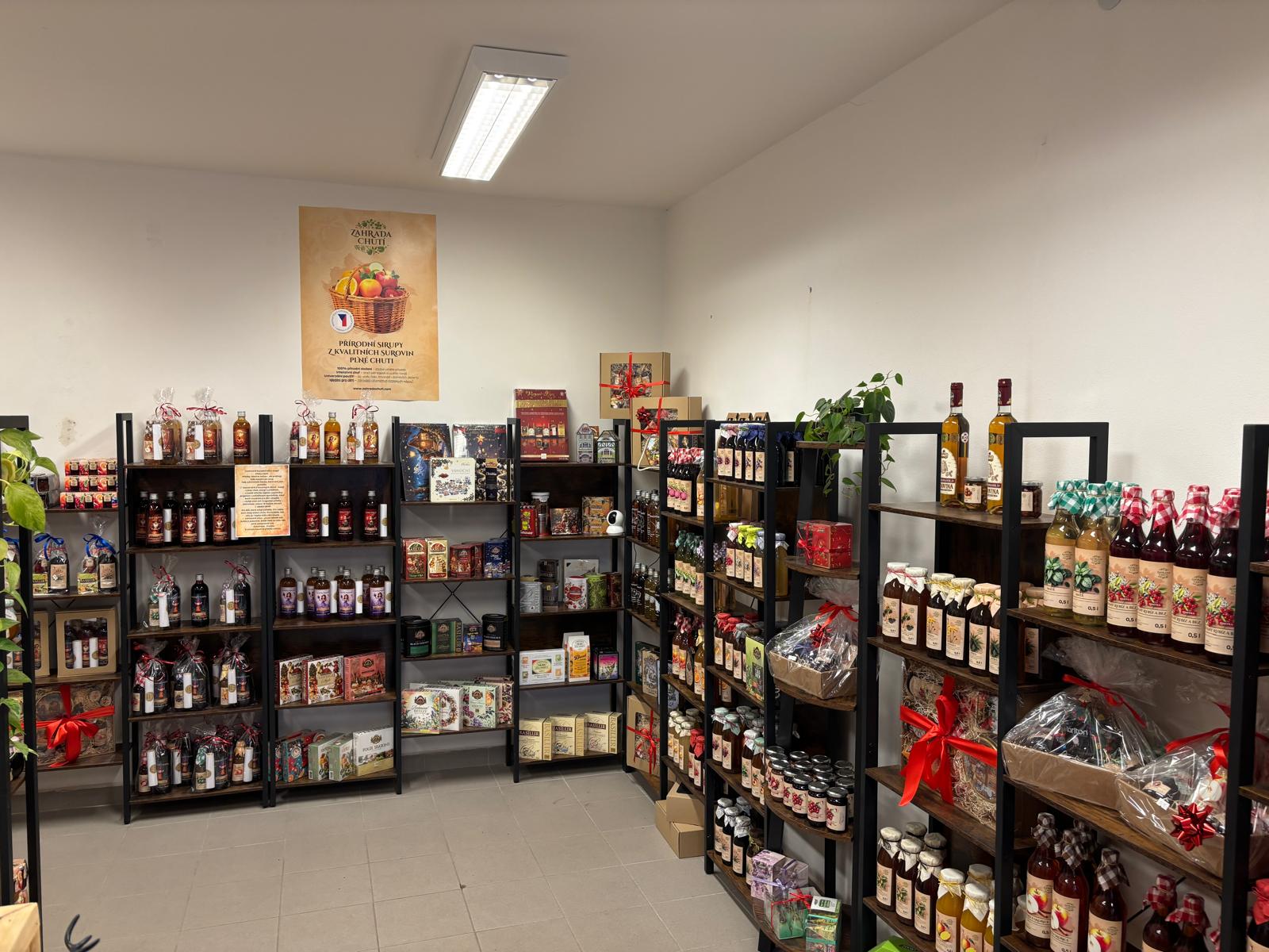 WhatsApp Image 2025-11-14 at 12.08.55